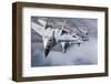 Bulgarian and Polish Air Force Mig-29S Planes Flying over Bulgaria-Stocktrek Images-Framed Photographic Print