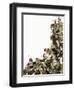 Bulgarian Rebels Massacred by the Turks-Kenneth John Petts-Framed Giclee Print