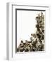 Bulgarian Rebels Massacred by the Turks-Kenneth John Petts-Framed Giclee Print