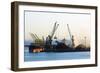 Bulk Shipping Cranes-Dr. Juerg Alean-Framed Photographic Print