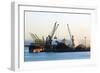 Bulk Shipping Cranes-Dr. Juerg Alean-Framed Photographic Print