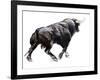 Bull, 2022, (charcoal and pastel on paper)-Mark Adlington-Framed Giclee Print