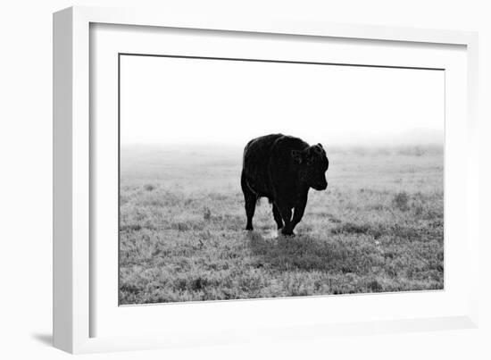 Bull after Ice Storm-Amanda Lee Smith-Framed Photographic Print