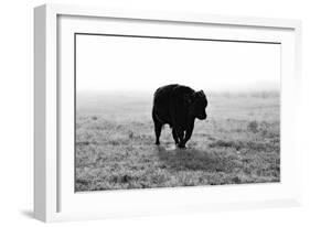 Bull after Ice Storm-Amanda Lee Smith-Framed Photographic Print