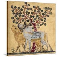 Bull and Cow-Aristotle ibn Bakhtishu-Stretched Canvas