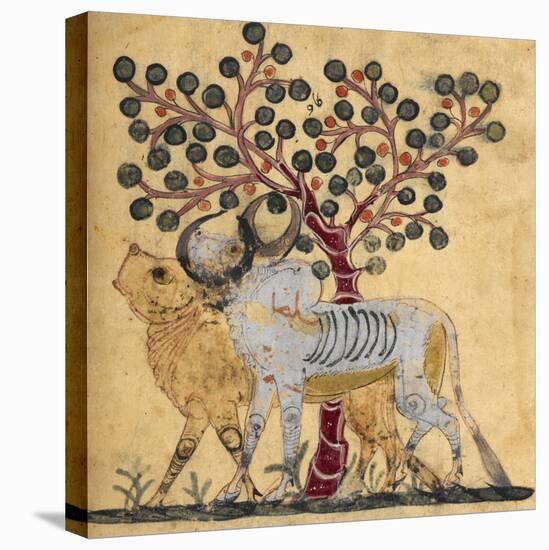 Bull and Cow-Aristotle ibn Bakhtishu-Stretched Canvas