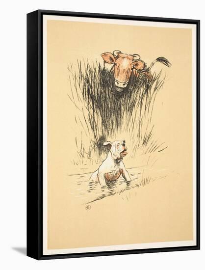 Bull and Dog in Field (Colour Litho)-Cecil Aldin-Framed Stretched Canvas