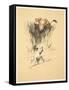 Bull and Dog in Field (Colour Litho)-Cecil Aldin-Framed Stretched Canvas