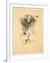 Bull and Dog in Field (Colour Litho)-Cecil Aldin-Framed Giclee Print