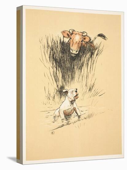 Bull and Dog in Field (Colour Litho)-Cecil Aldin-Stretched Canvas