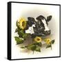 Bull and Sunflowers-Peggy Harris-Framed Stretched Canvas