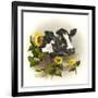 Bull and Sunflowers-Peggy Harris-Framed Giclee Print