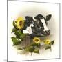 Bull and Sunflowers-Peggy Harris-Mounted Giclee Print