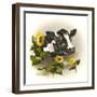 Bull and Sunflowers-Peggy Harris-Framed Giclee Print