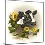 Bull and Sunflowers-Peggy Harris-Mounted Giclee Print