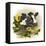 Bull and Sunflowers-Peggy Harris-Framed Stretched Canvas