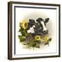 Bull and Sunflowers-Peggy Harris-Framed Giclee Print