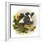 Bull and Sunflowers-Peggy Harris-Framed Giclee Print