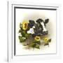 Bull and Sunflowers-Peggy Harris-Framed Giclee Print