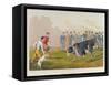 Bull Baiting', pub. by Thomas McLean, 1820-Henry Thomas Alken-Framed Stretched Canvas
