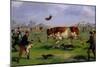 Bull Baiting-Samuel Henry Alken-Mounted Premium Giclee Print