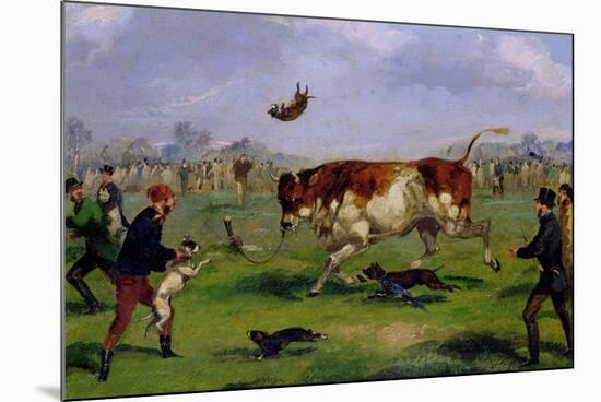 Bull Baiting-Samuel Henry Alken-Mounted Giclee Print