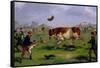 Bull Baiting-Samuel Henry Alken-Framed Stretched Canvas