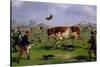 Bull Baiting-Samuel Henry Alken-Stretched Canvas