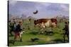 Bull Baiting-Samuel Henry Alken-Stretched Canvas