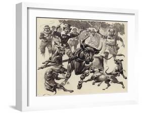 Bull Baiting-Pat Nicolle-Framed Giclee Print