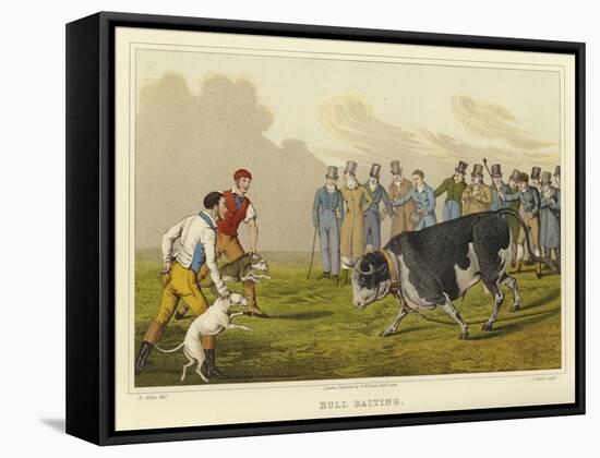 Bull Baiting-Henry Thomas Alken-Framed Stretched Canvas