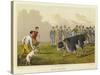 Bull Baiting-Henry Thomas Alken-Stretched Canvas