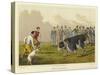 Bull Baiting-Henry Thomas Alken-Stretched Canvas