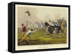 Bull Baiting-Henry Thomas Alken-Framed Stretched Canvas