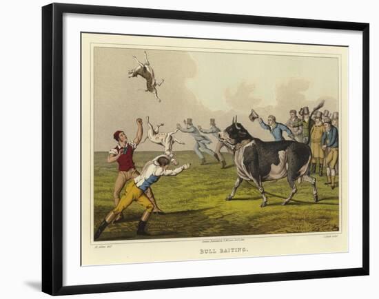 Bull Baiting-Henry Thomas Alken-Framed Giclee Print