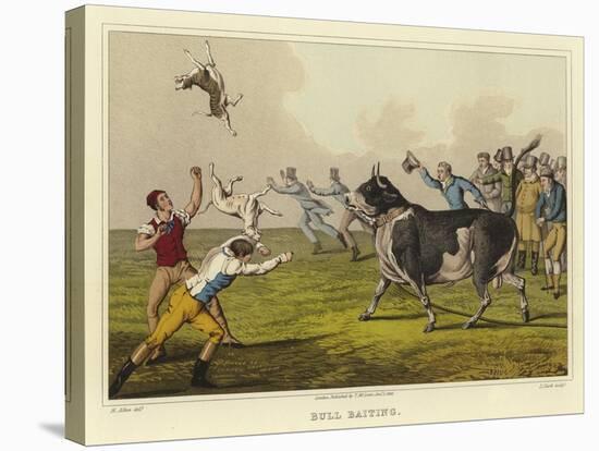 Bull Baiting-Henry Thomas Alken-Stretched Canvas