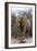 Bull Desert Elephant, Damaraland, Namibia, Africa-Bhaskar Krishnamurthy-Framed Photographic Print