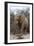 Bull Desert Elephant, Damaraland, Namibia, Africa-Bhaskar Krishnamurthy-Framed Photographic Print