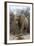 Bull Desert Elephant, Damaraland, Namibia, Africa-Bhaskar Krishnamurthy-Framed Photographic Print