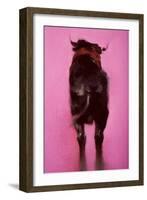 Bull, Detail-Daniel Cacouault-Framed Giclee Print