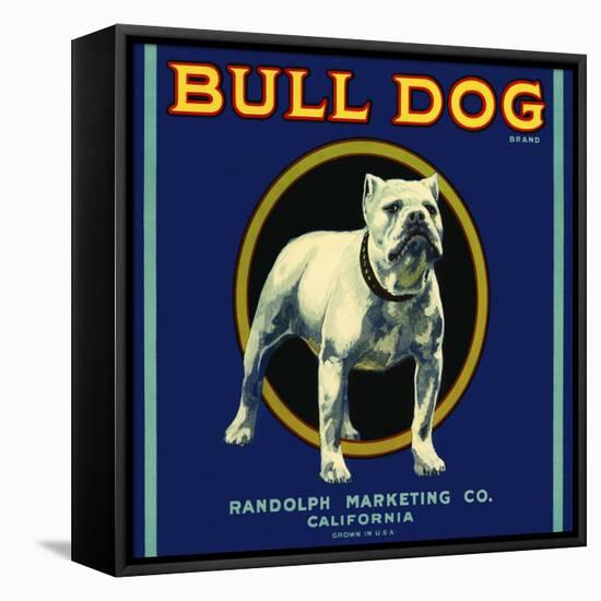 Bull Dog Brand-null-Framed Stretched Canvas