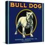 Bull Dog Brand-null-Stretched Canvas