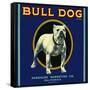 Bull Dog Brand-null-Framed Stretched Canvas