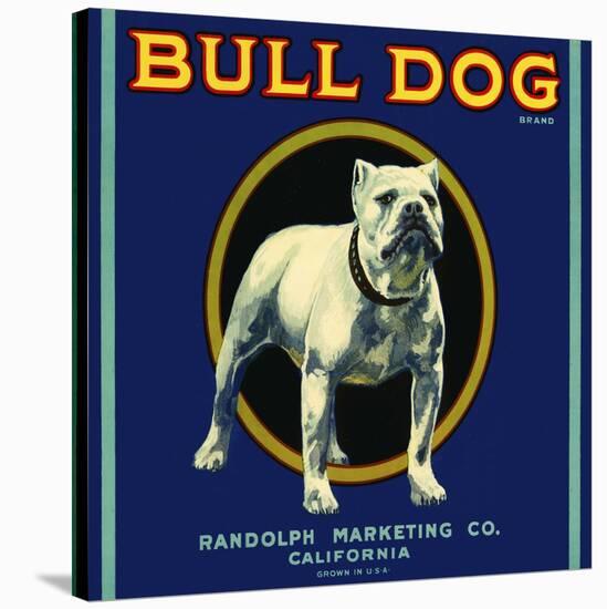 Bull Dog Brand-null-Stretched Canvas