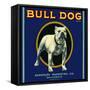 Bull Dog Brand-null-Framed Stretched Canvas