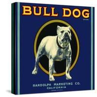 Bull Dog Brand-null-Stretched Canvas