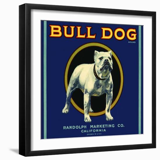 Bull Dog Brand-null-Framed Giclee Print