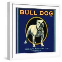 Bull Dog Brand-null-Framed Giclee Print