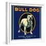 Bull Dog Brand-null-Framed Giclee Print