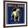 Bull Dog Brand-null-Framed Giclee Print